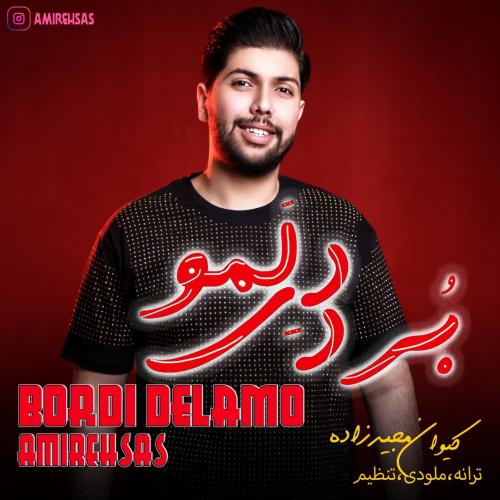 امیر احساس بردی دلمو